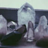 amandaflores259